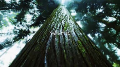 한화 : 그린에너지를 더 그린하게 편