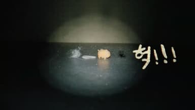 로보락 : 로보락의 등장, 청소의 종말 I HATE ROBOROCK 편